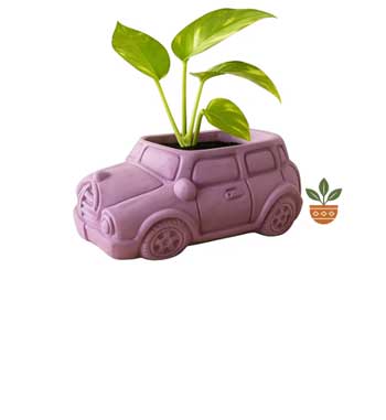 Banner image for: <h3>Broom & Bloom Planter</h3>